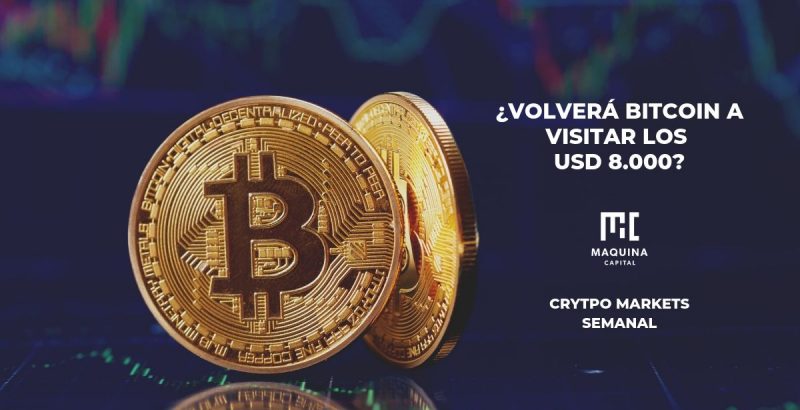 Volvera Bitcoin a visitar los 8000