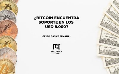 Bitcoin encuentra soporte en los 8000