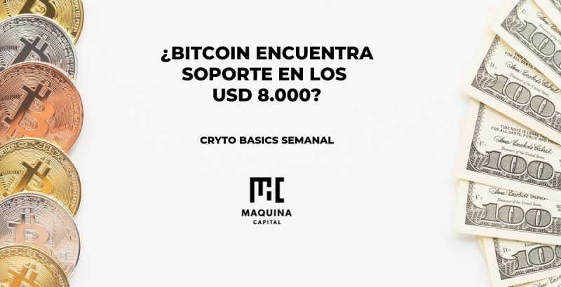 Bitcoin encuentra soporte en los 8000