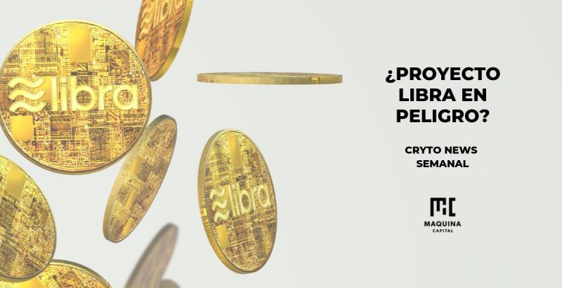 proyecto libra en peligro